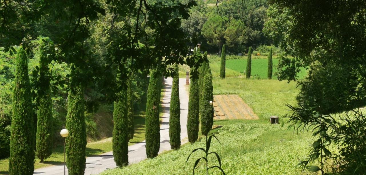 Agriturismo Cascina Cipressa San Romano  외부 사진