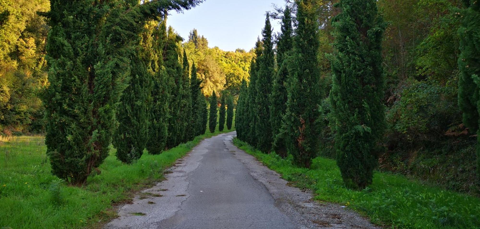 Agriturismo Cascina Cipressa San Romano  외부 사진